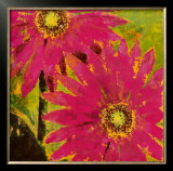 Gerbera Maximus I Poster by Karen Dupré