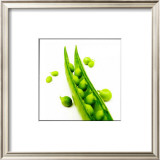 Polaroid Vegetable II Prints by Jean-François Dupuis