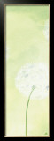 Delicateness of the Dandelion II Posters by Sabine Mannheims