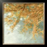 Under a Blue Sky Prints by Donna Geissler