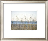 Coastal Grasses Print by Jeff Kauck