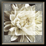Dahlia Icon II Posters by Christine Elizabeth