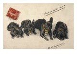 French Bulldogs Giclee Print