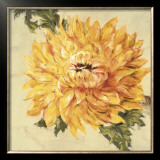 Hot Blooms II Art by Marysia Burr