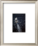 Fish in Sea Prints by Jean-Marie Liot