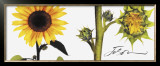 Helianthus Print by JoSon 