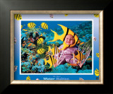 Water Babies Yellowfish Art by Tom Arma