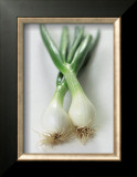 Spring Onion Art by Sara Deluca