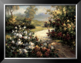 Pathway of Flowers Posters by Leila 