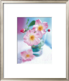 Dog Roses Prints by Pernilla Bergdhal