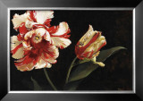 Resplendent Print by Jennie Tomao-Bragg