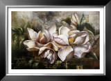 Dawning Magnolias Print by Fangyu Meng