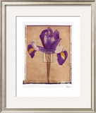 Iris Posters by Scott Morrish
