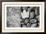 Nature Trio Prints by Alan Majchrowicz