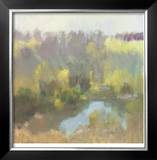 Yellow Pond Limited Edition Framed Print by Steve Parker