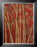 Thai Bamboo I Prints by Rafael Serreno
