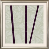 Bambous, c.2006 Prints by Polla Davide