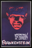 Frankenstein 1931 Limited Edition Framed Print