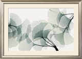 Ginkgo Dance Prints by Steven N. Meyers