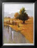 Sage Sensation Limited Edition Framed Print by Vicki Mcmurry
