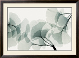 Ginkgo Dance Poster by Steven N. Meyers