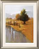 Sage Sensation Limited Edition Framed Print by Vicki Mcmurry