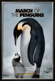 March of the Penguins Photo