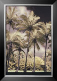 Hawaiian Vintage II Posters by Dianne Poinski