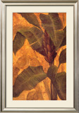 Banana Blossom I Posters by Steve Butler