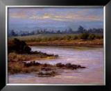 A Golden Moment Limited Edition Framed Print by Brigitte Curt