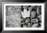 Nature Trio Posters by Alan Majchrowicz