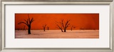Namibie Prints by Philippe Bourseiller