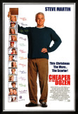 Cheaper by the Dozen Poster