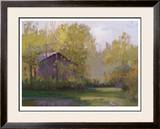 Calm Cottage Limited Edition Framed Print by Parker Steve