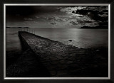 Jetty near the Palm Beach Art by Olivier Meriel