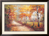 Autumn Walk II Prints by Stephen Douglas