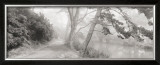 Stow Lake Print by Gomes 