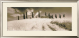 Tuscan Farmhouse Poster by Michael Hudson