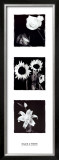 Black and White Prints by Angelos Zimaras