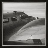 Vintage Flight II Posters por Janet Van Arsdale