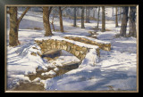 Shadows and Light Posters por William Mangum Shadows and Light Posters por William Mangum