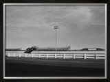Funny Car Dragster Wheelie Framed Giclee Print by David Perry