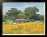 Red Roof Barn Limited Edition Framed Print by Steve Parker