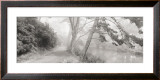 Stow Lake Art by Gomes 