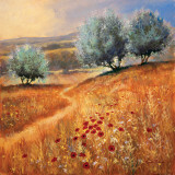 Peaceful Path Posters par Steve Thoms