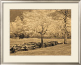 Smokies Fence Posters by Wendy Caro