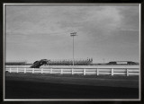 Funny Car Dragster Wheelie Framed Giclee Print by David Perry