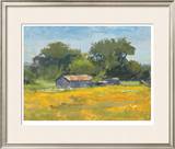 Red Roof Barn Limited Edition Framed Print by Steve Parker