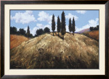 Sentinels Prints by Martin Pryce