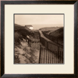 Dune Fence Art by Christine Triebert